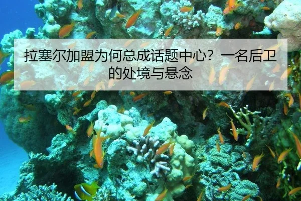 拉塞尔加盟为何总成话题中心？一名后卫的处境与悬念